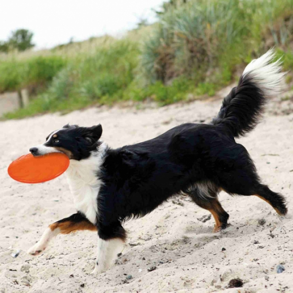 Trixie TPR Dog Disc, schwimmfähig 22 cm
